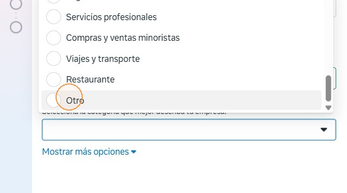 Selección de categoría del negocio